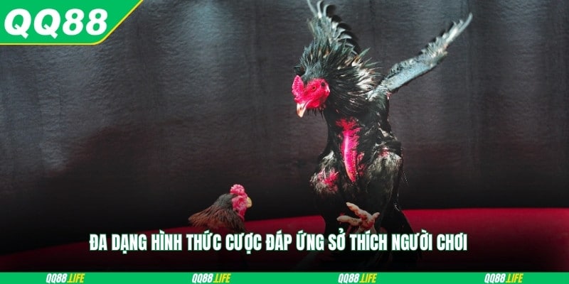 Đa dạng hình thức cược đáp ứng sở thích người chơi