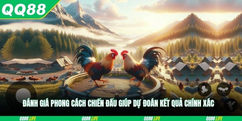 Đánh giá phong cách chiến đấu giúp dự đoán kết quả chính xác