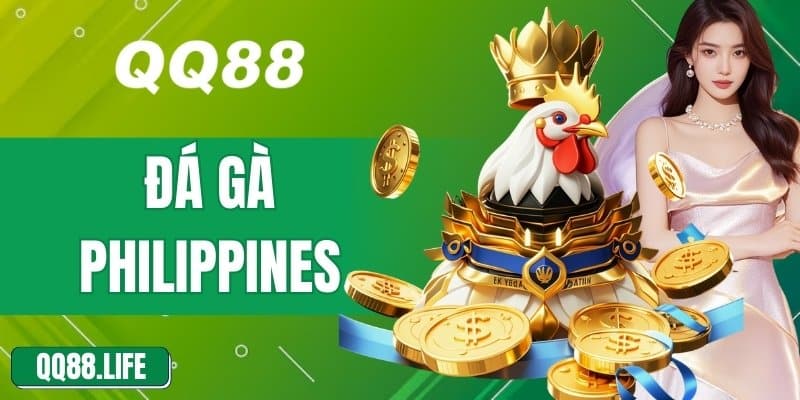 Khám Phá Sức Hấp Dẫn Của Đá Gà Philippines Trong Cá Cược