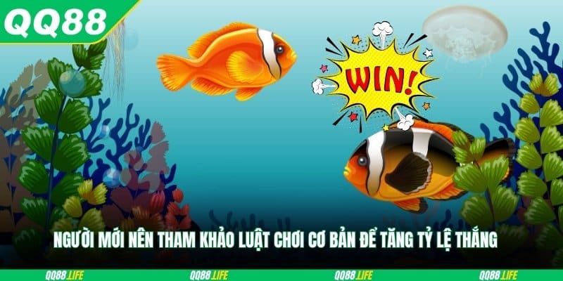 Người mới nên tham khảo luật chơi cơ bản để tăng tỷ lệ thắng