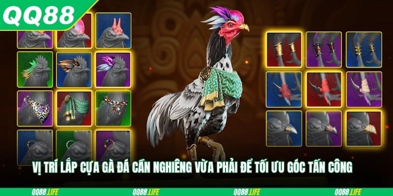 Vị trí lắp cựa gà đá cần nghiêng vừa phải để tối ưu góc tấn công